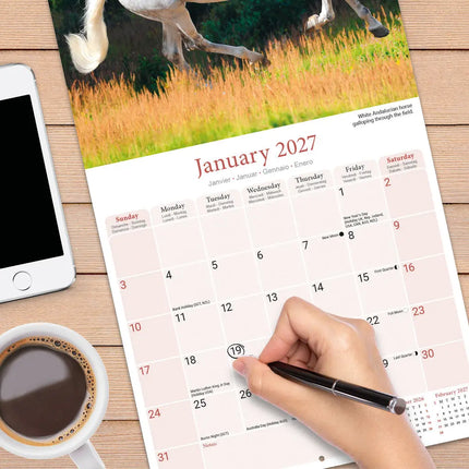 Avonside Paarden Kalender 2027