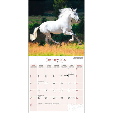 Avonside Paarden Kalender 2027