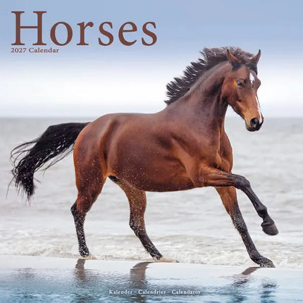 Avonside Paarden Kalender 2027