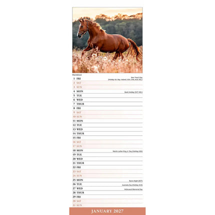 Avonside Paarden Kalender 2027 Slimline