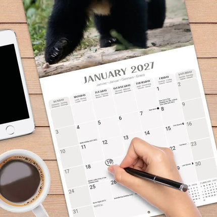 Avonside Panda Kalender 2027