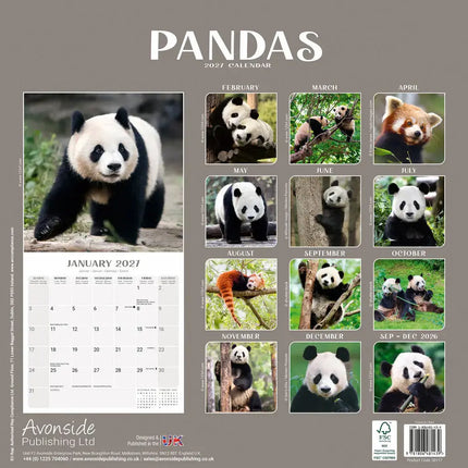 Avonside Panda Kalender 2027