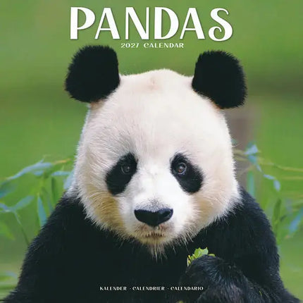Avonside Panda Kalender 2027