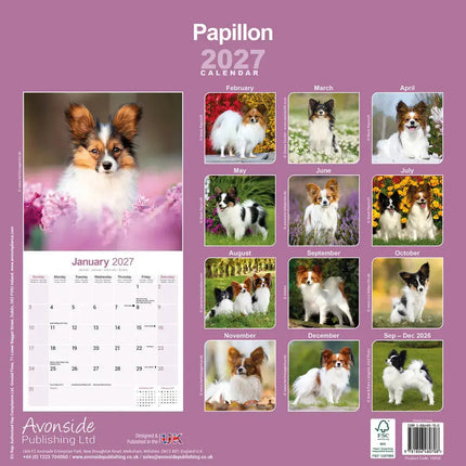 Avonside Papillon Kalender 2027