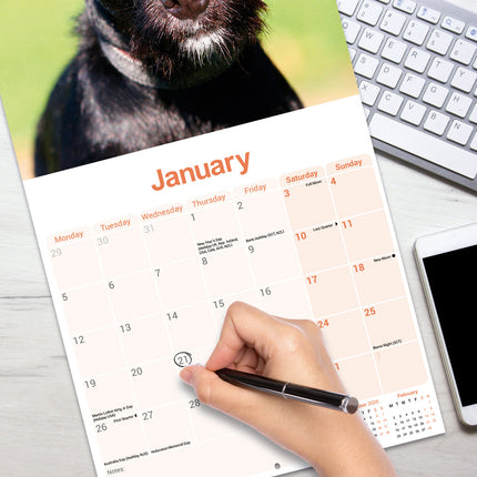 Avonside Patterdale Terrier Kalender 2026