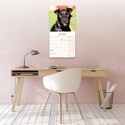 Avonside Patterdale Terrier Kalender 2026