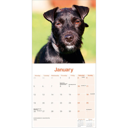 Avonside Patterdale Terrier Kalender 2026