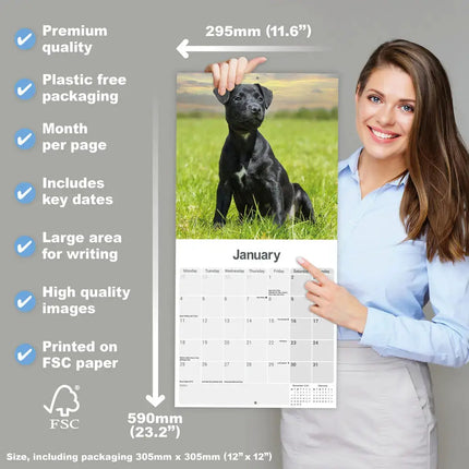 Avonside Patterdale Terrier Kalender 2027