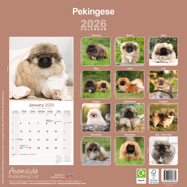 Avonside Pekingees Kalender 2026