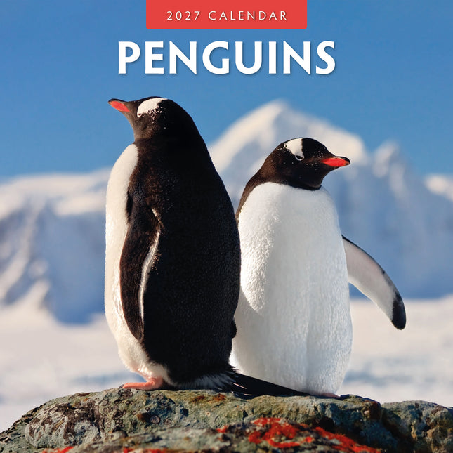 Avonside Pinguin Kalender 2027