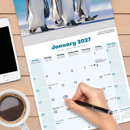 Avonside Pinguin Kalender 2027