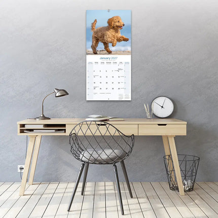 Avonside Poedel Kalender 2027