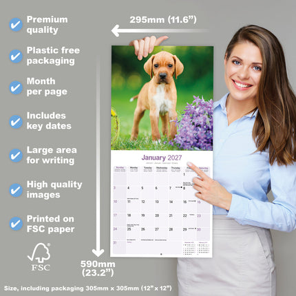 Avonside Pointer Kalender 2027