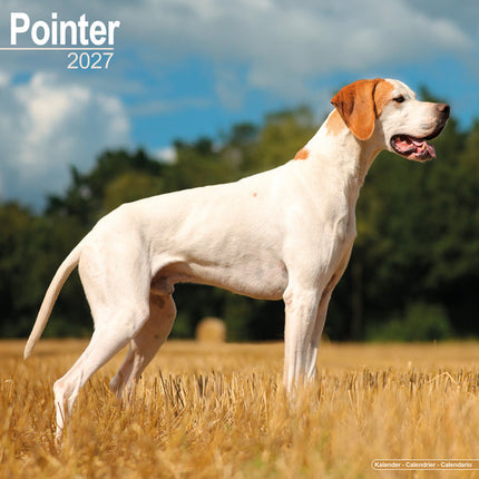 Avonside Pointer Kalender 2027