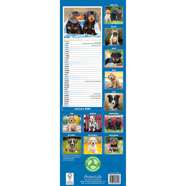 Avonside Puppies Kalender 2026 Slimline