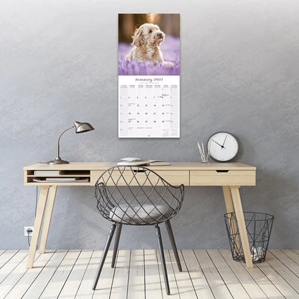 Avonside Puppies Kalender 2027