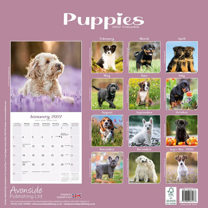 Avonside Puppies Kalender 2027