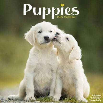 Avonside Puppies Kalender 2027