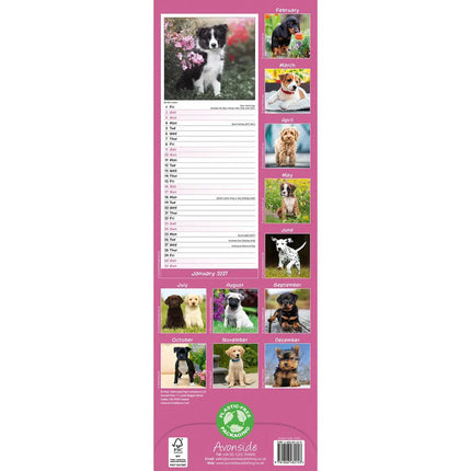 Avonside Puppies Slimline Kalender 2027