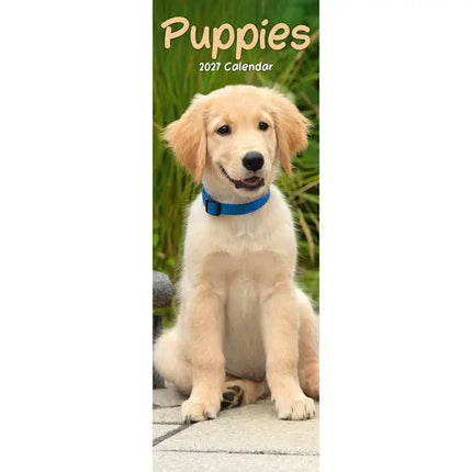 Avonside Puppies Slimline Kalender 2027