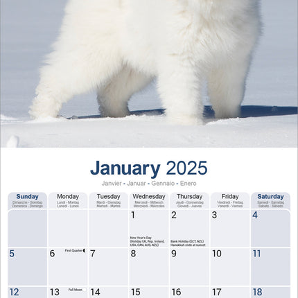Avonside Pyreneese Berghond Kalender 2025