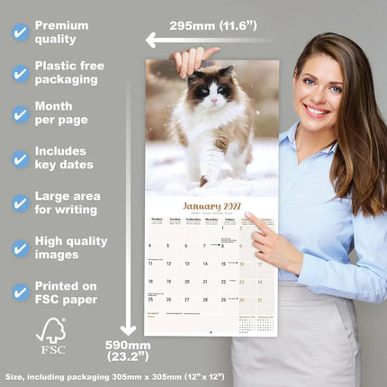 Avonside Ragdoll Kalender 2027