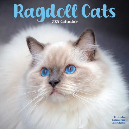 Avonside Ragdoll Kalender 2027