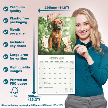 Avonside Rhodesian Ridgeback Kalender 2026
