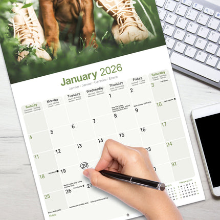 Avonside Rhodesian Ridgeback Kalender 2026