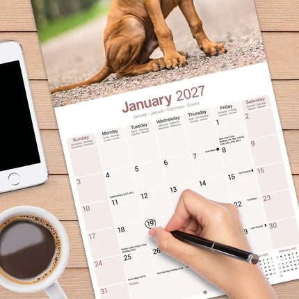 Avonside Rhodesian Ridgeback Kalender 2027