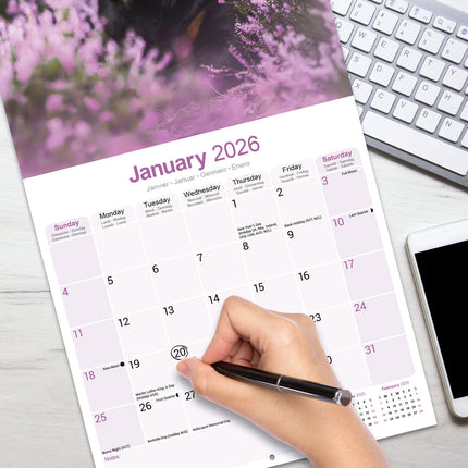 Avonside Rottweiler Kalender 2027