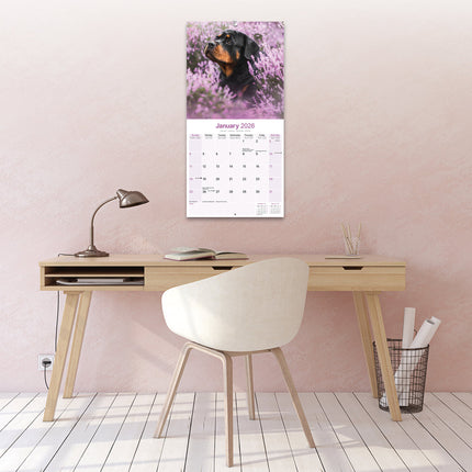 Avonside Rottweiler Kalender 2027