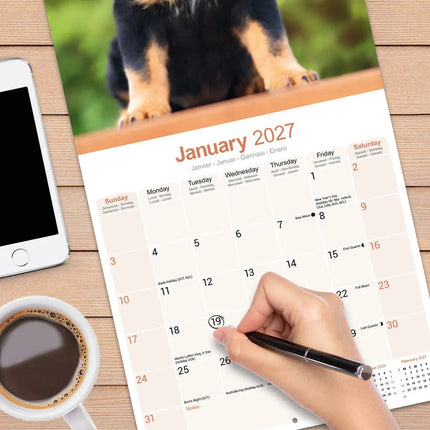 Avonside Rottweiler Kalender 2027