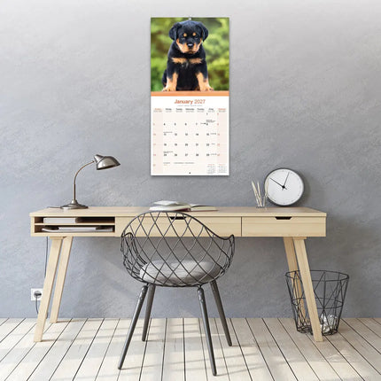 Avonside Rottweiler Kalender 2027