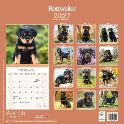 Avonside Rottweiler Kalender 2027