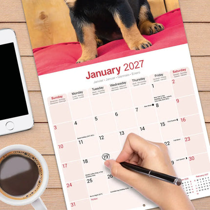 Avonside Rottweiler Puppies Kalender 2027