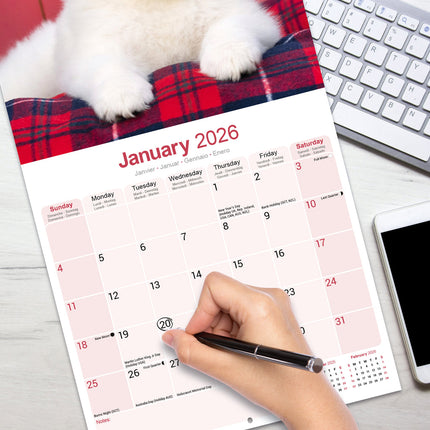 Avonside Samojeed Kalender 2026