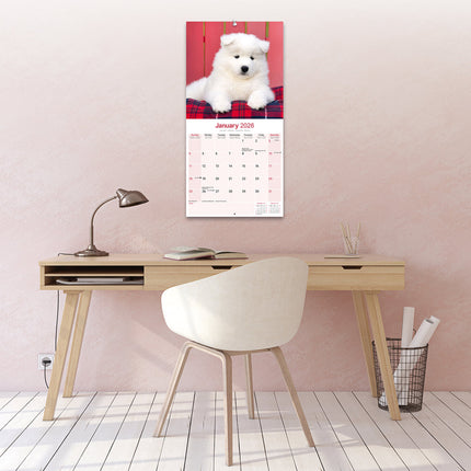 Avonside Samojeed Kalender 2026