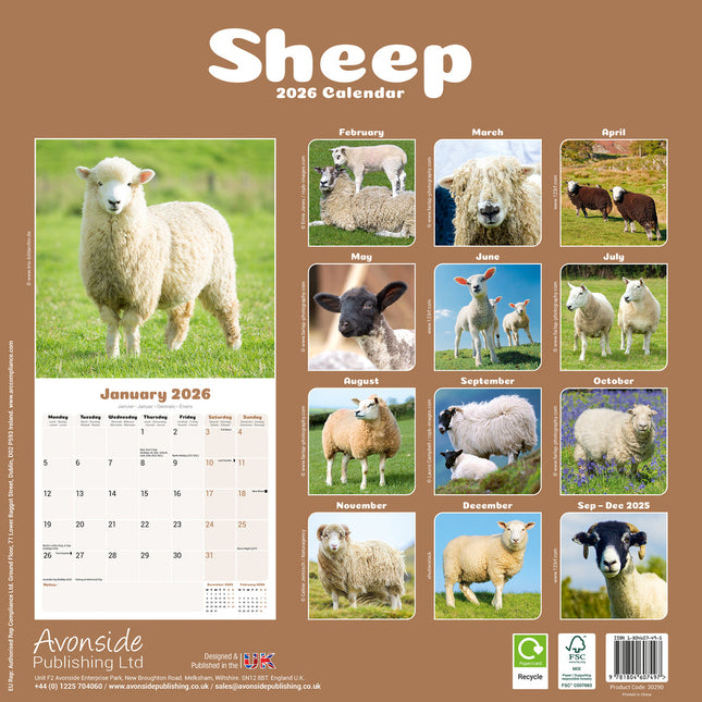 Avonside Schapen Kalender 2026