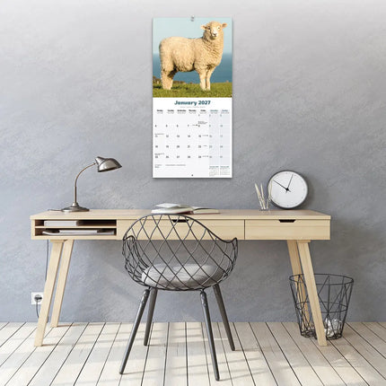 Avonside Schapen Kalender 2027