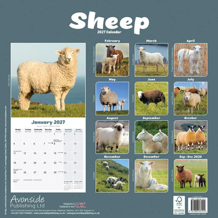 Avonside Schapen Kalender 2027