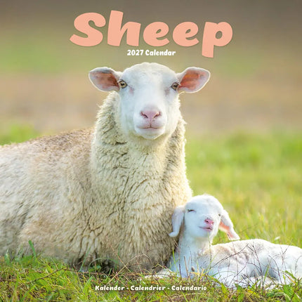 Avonside Schapen Kalender 2027