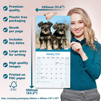 Avonside Schnauzer Kalender 2026