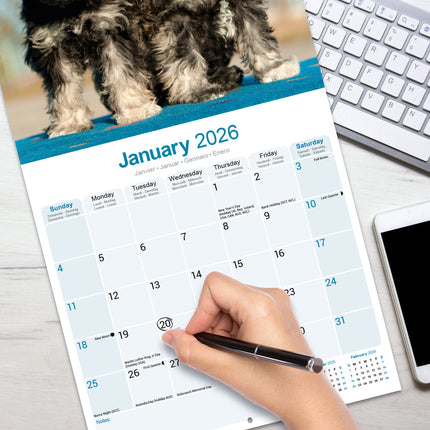 Avonside Schnauzer Kalender 2026