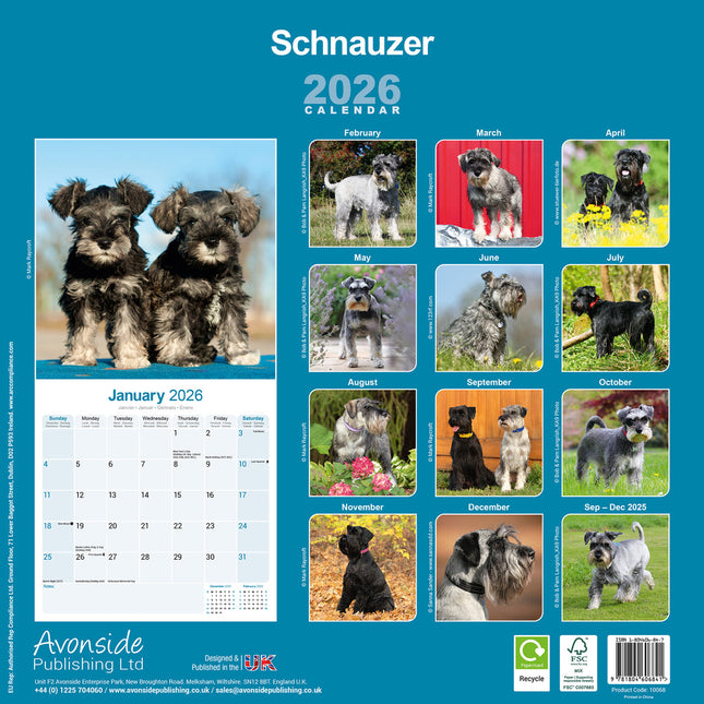 Avonside Schnauzer Kalender 2026
