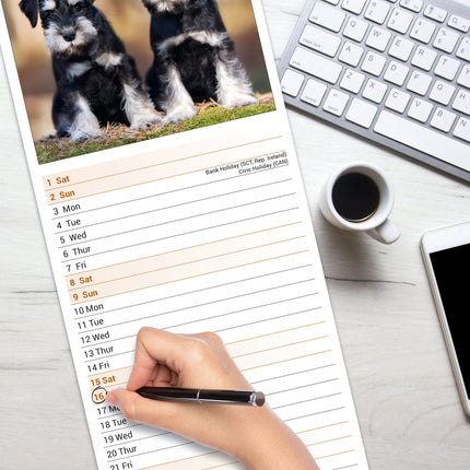 Avonside Schnauzer Kalender 2027 Slimline