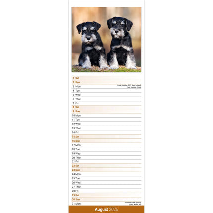 Avonside Schnauzer Kalender 2027 Slimline