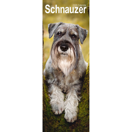 Avonside Schnauzer Kalender 2027 Slimline