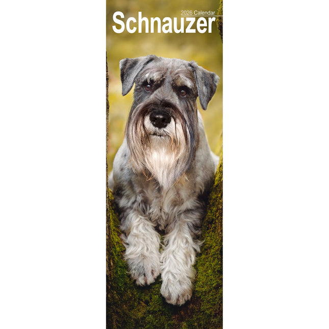Avonside Schnauzer Kalender 2027 Slimline