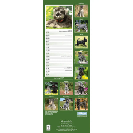 Avonside Schnauzer Kalender 2027 Slimline